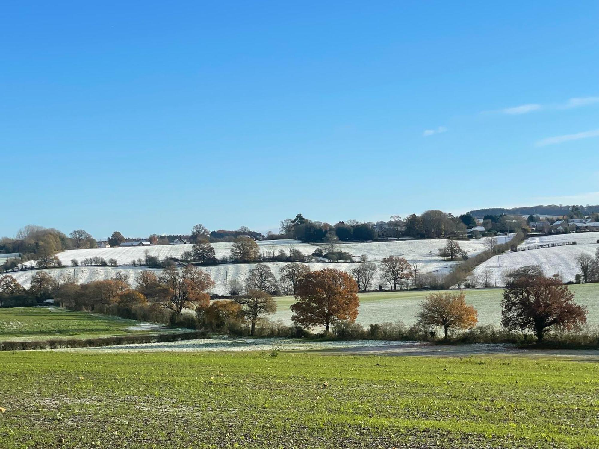 Bank Cottage Studio - Luxury Cotswolds Haven For Two Shipston-on-Stour Esterno foto